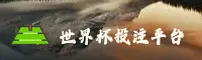 (推荐)世界杯下注2026正版门户 - 正版竞猜入口